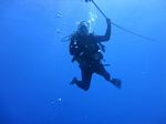 Hawaii Scuba divng 64