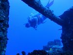 Hawaii Scuba divng 12