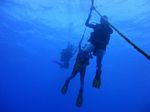 Hawaii Scuba divng 01