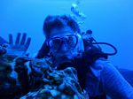 Hawaii Scuba divng 23