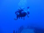 Hawaii Scuba divng 26