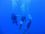 Hawaii Scuba divng 29