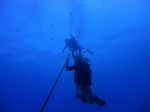 Hawaii Scuba divng 02