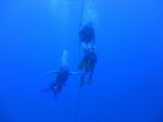 Hawaii Scuba divng 34