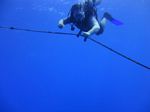 Hawaii Scuba divng 36