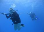 Hawaii Scuba divng 38