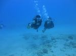 Hawaii Scuba divng 40