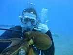 Hawaii Scuba divng 46