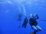 Hawaii Scuba divng 69