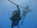 Hawaii Scuba divng 10