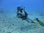 Hawaii Scuba divng 16