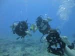 Hawaii Scuba divng 20