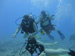 Hawaii Scuba divng 21