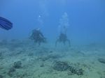 Hawaii Scuba divng 22