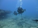 Hawaii Scuba divng 26