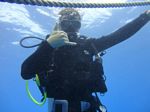 Hawaii Scuba divng 33