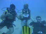 Hawaii Scuba divng 34