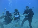 Hawaii Scuba divng 35