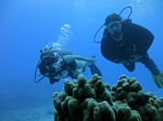 Hawaii Scuba divng 38