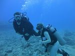 Hawaii Scuba divng 39