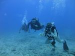 Hawaii Scuba divng 42