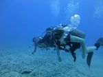 Hawaii Scuba divng 43