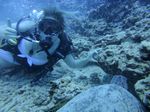 Hawaii Scuba divng 51