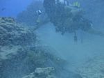 Hawaii Scuba divng 56