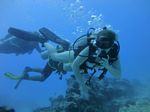 Hawaii Scuba divng 56