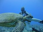 Hawaii Scuba divng 59