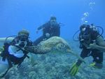 Hawaii Scuba divng 64