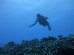 Hawaii Scuba divng 66