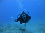 Hawaii Scuba divng 68