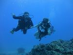 Hawaii Scuba divng 70