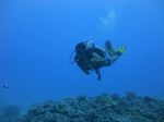 Hawaii Scuba divng 71