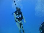 Hawaii Scuba divng 72