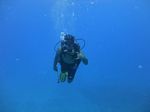 Hawaii Scuba divng 73