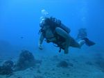 Oahu scuba 15