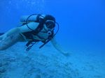 Oahu scuba 30