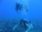 Oahu scuba 36