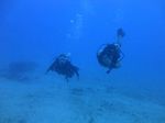 Hawaii scuba 12