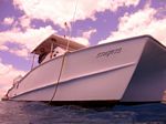 Hawaii scuba 49