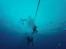 Hawaii Scuba divng 10