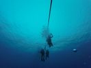 Hawaii Scuba divng 11