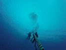 Hawaii Scuba divng 14