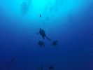 Hawaii Scuba divng 16