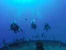 Hawaii Scuba divng 17