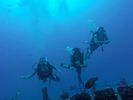 Hawaii Scuba divng 19