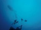 Hawaii Scuba divng 22