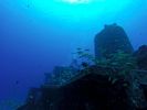 Hawaii Scuba divng 30